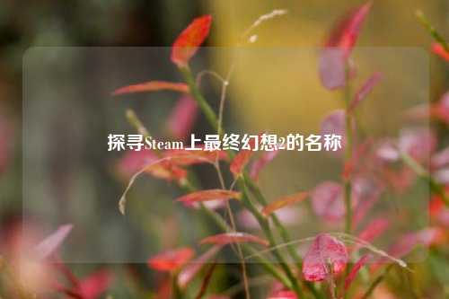 探寻Steam上最终幻想2的名称